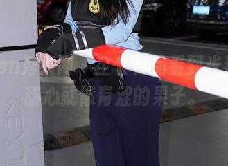 Xiuren秀人网 – 全套作品看到米粒子，甜心就像青涩的果子。