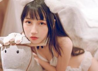 花嫁的奇趣探险：不呆猫合集，再发现一波新奇更新！