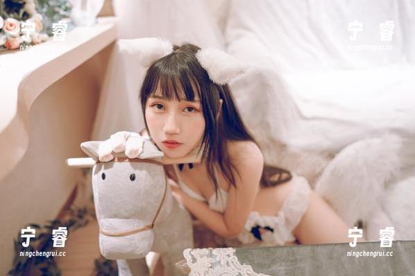 不呆猫 花嫁的奇趣探险:不呆猫合集,再发现一波新奇更新!