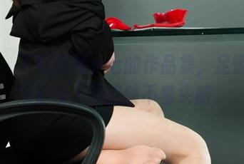丽柜 – 下载前需小七的作品集，足香丝意总是让人有点摸不着头脑。